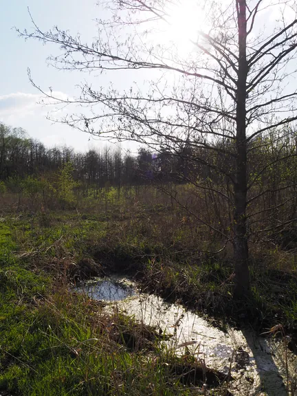 Kalkense Meersen (België)